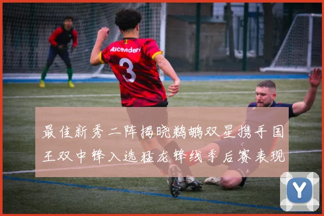 最佳新秀二阵揭晓鹈鹕双星携手国王双中锋入选猛龙锋线季后赛表现抢眼