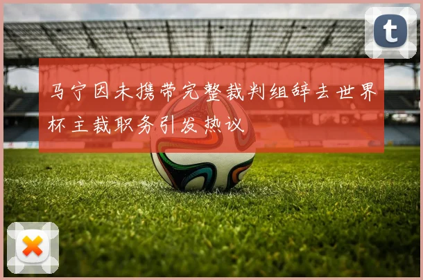 马宁因未携带完整裁判组辞去世界杯主裁职务引发热议