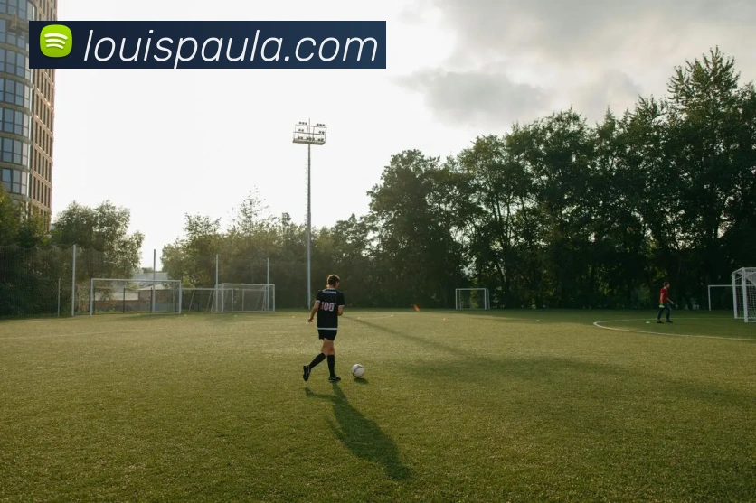 hth华体育app官网登录APP 高清赛事图